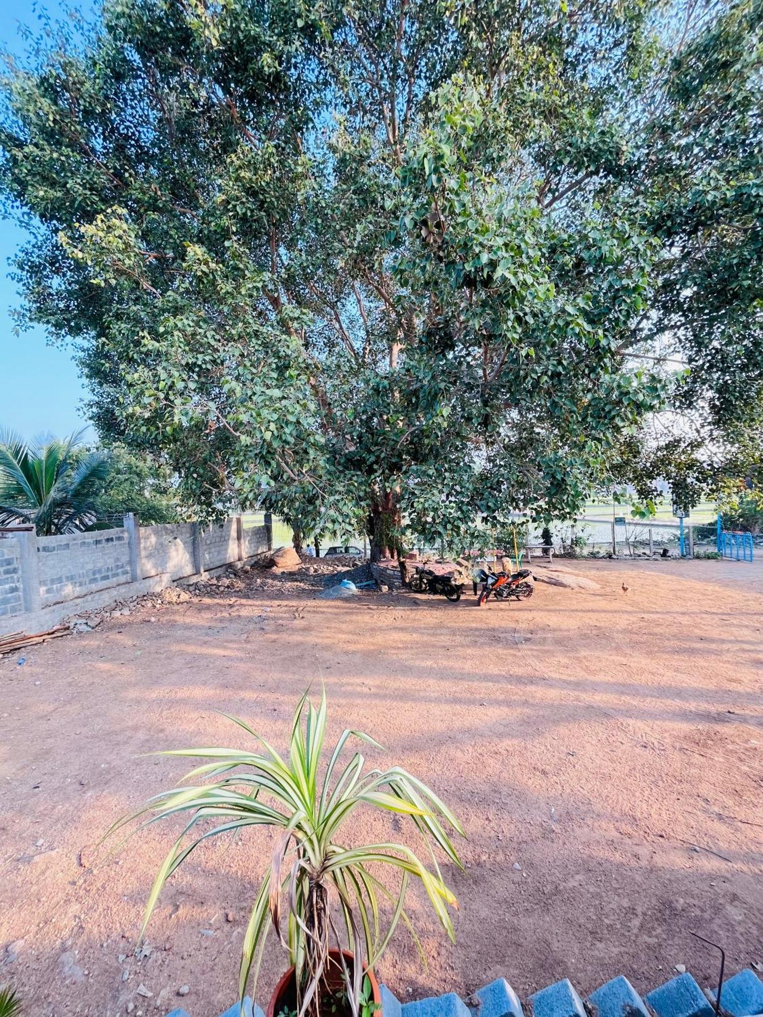Jungle Tree Hampi Hotell Eksteriør bilde